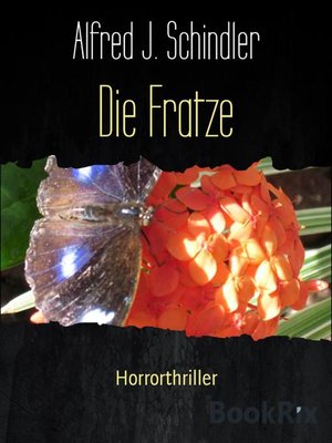 cover image of Die Fratze